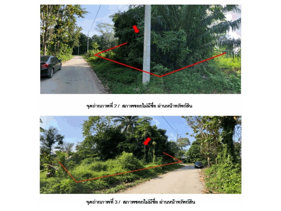 รูป ที่ดิน 132.6 ตร.วา ท่าชนะ สุราษฎร์ธานี 499,000 - รูปที่ 3/4