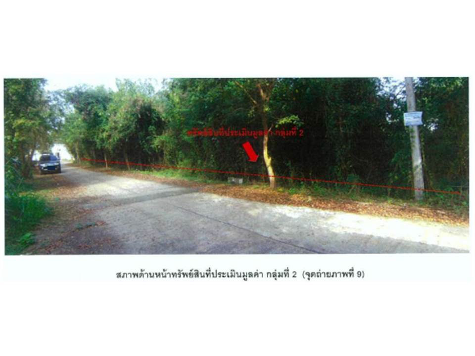 picture LAND 421.8 Sq.w. Tron Uttaradit for 1.6M - 1/4