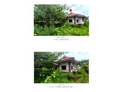 Houses for sale Li Lamphun : HOME 436 Sq.w. Li Lamphun for 1.2M