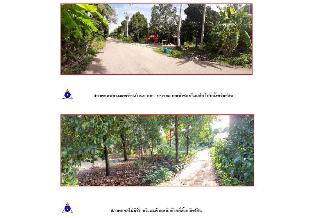 รูป ที่ดินพร้อมสิ่งปลูกสร้าง 387.8 ตร.วา หลังสวน ชุมพร 1.2M - รูปที่ 2/4