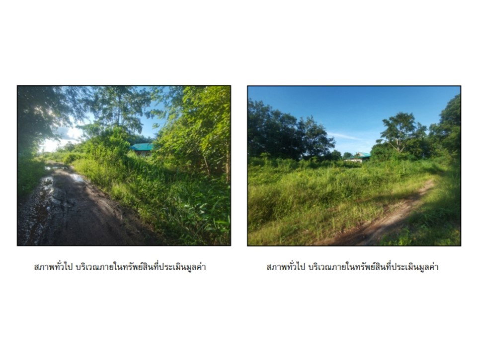 รูป ที่ดินพร้อมสิ่งปลูกสร้าง 715 ตร.วา บ้านม่วง สกลนคร 1.1M - รูปที่ 10/10