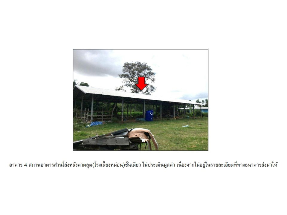 รูป ที่ดินพร้อมสิ่งปลูกสร้าง 2315 ตร.วา ปราสาท สุรินทร์ 2.8M - รูปที่ 8/10