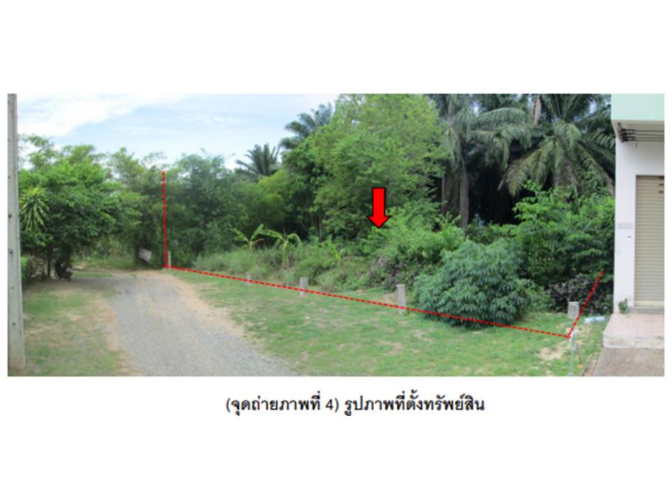 picture LAND 117.5 Sq.w. Muang Surat Thani Surat Thani for 1.5M - 4/4