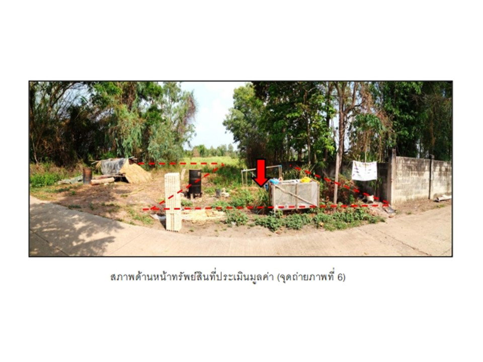 รูป ที่ดิน 2463 ตร.วา นากลาง หนองบัวลำภู 1.7M - รูปที่ 6/8