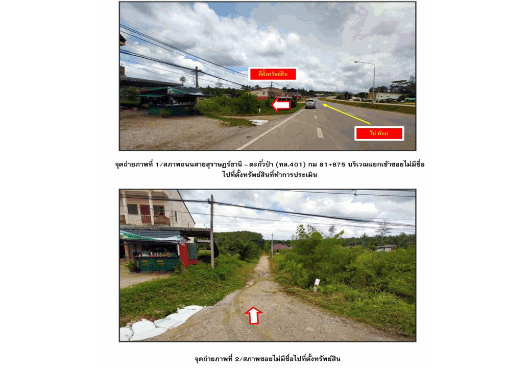 รูป ที่ดินพร้อมสิ่งปลูกสร้าง 58 ตร.วา พนม สุราษฎร์ธานี 1.4M - รูปที่ 2/7