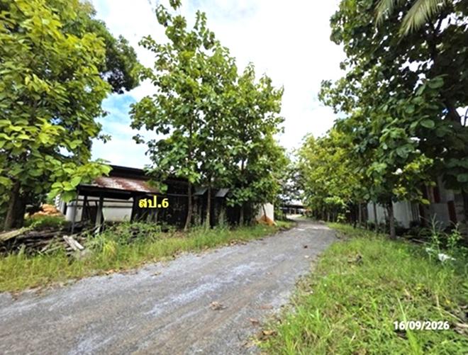 picture FACTORY 5209 Sq.w. Na Klang Nong Bua Lam Phu for 23.3M - 16/45
