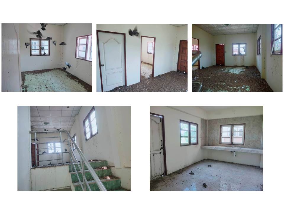 picture LAND 48 Sq.w. Tha Rua Phra Nakhon Sri Ayutthaya for 1.4M - 6/6