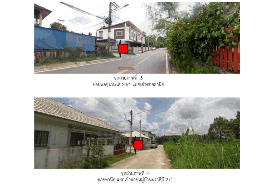 รูป ที่ดินพร้อมสิ่งปลูกสร้าง 26.9 ตร.วา นราสินี 2+1 เมืองสุราษฎร์ธานี สุราษฎร์ธานี 1.6M - รูปที่ 3/6