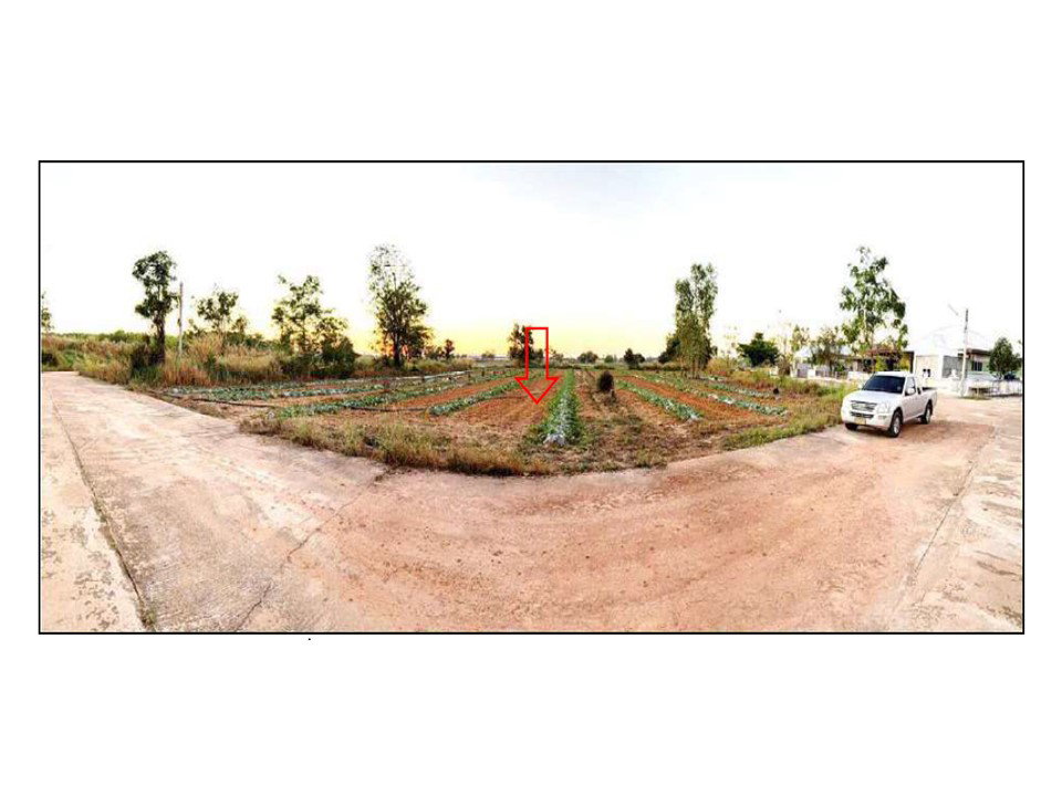 รูป ที่ดิน 656.7 ตร.วา เมืองพิษณุโลก พิษณุโลก 2.6M - รูปที่ 1/5