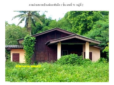 Land for sale Fang Chiang Mai  : LAND 252.3 Sq.w. Fang Chiang Mai for 683,000