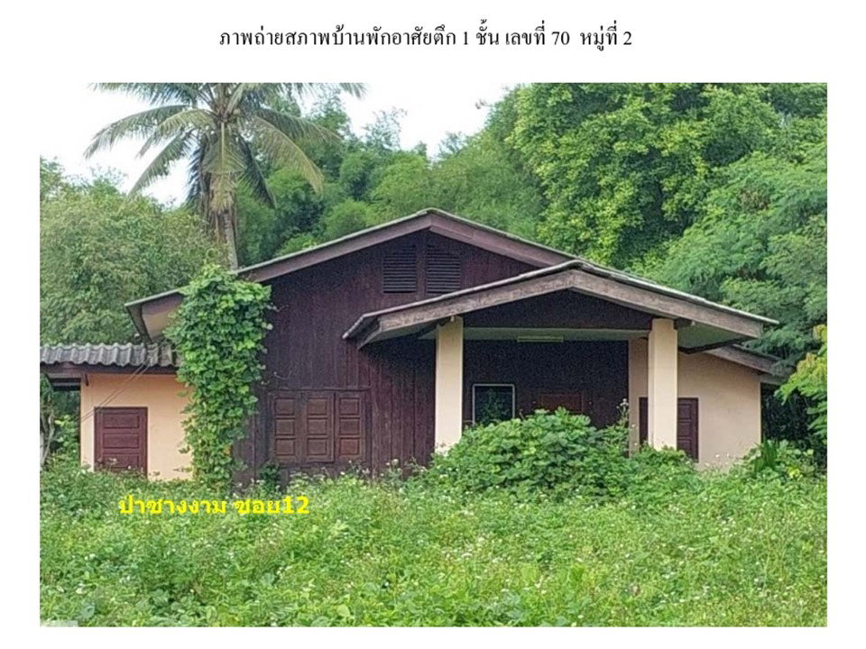 picture LAND 252.3 Sq.w. Fang Chiang Mai for 683,000 - 1/3