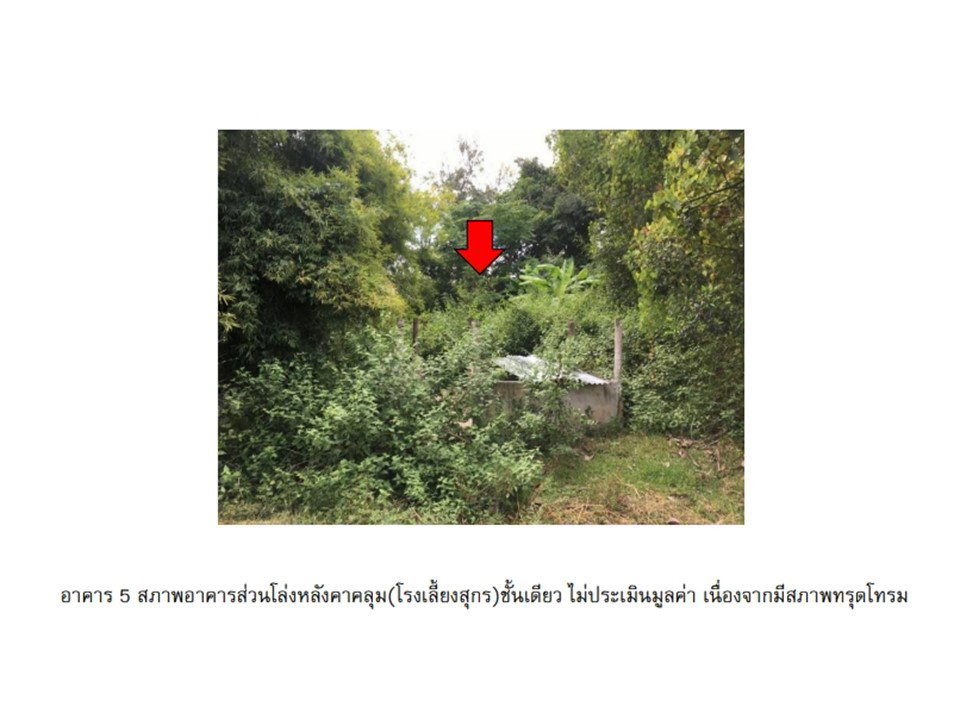 รูป ที่ดินพร้อมสิ่งปลูกสร้าง 2315 ตร.วา ปราสาท สุรินทร์ 2.8M - รูปที่ 9/10