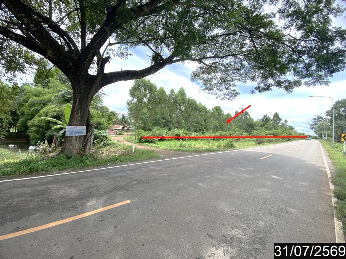 picture LAND 5726 Sq.w. Suwan Khuha Nong Bua Lam Phu for 2.6M - 8/15