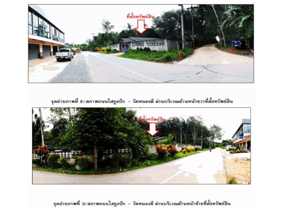 picture LAND 188 Sq.w. Na Bon Nakhon Sri Thammarat for 1.2M - 3/8