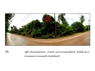 LAND 6240 Sq.w. Nong Chik Pattani for 1.7M