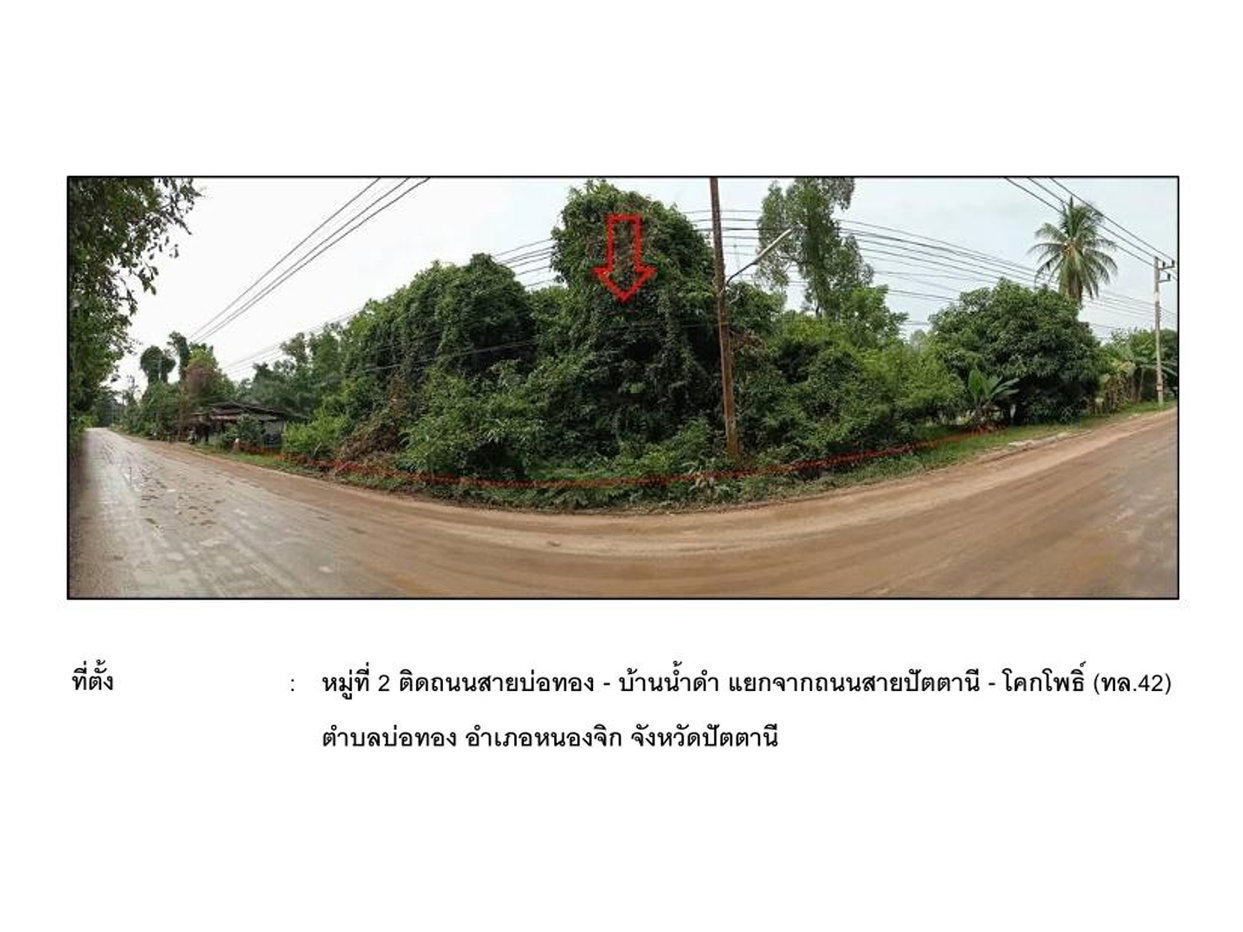 picture LAND 6240 Sq.w. Nong Chik Pattani for 1.7M - 1/5
