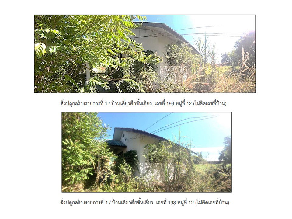 รูป ที่ดินพร้อมสิ่งปลูกสร้าง 459 ตร.วา บ้านผือ อุดรธานี 2M - รูปที่ 4/7