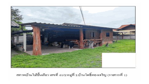LAND 224 Sq.w. Doi Saket Chiang Mai for 1.7M