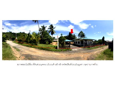 LAND 145 Sq.w. Thung Wa Satun for 938,000