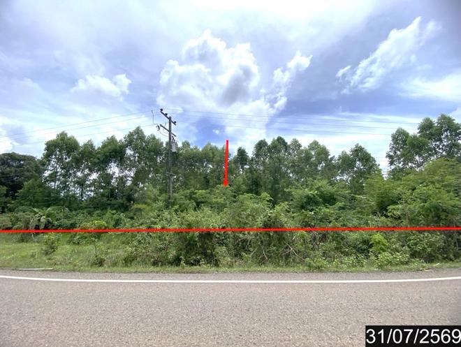 picture LAND 5726 Sq.w. Suwan Khuha Nong Bua Lam Phu for 2.6M - 1/15