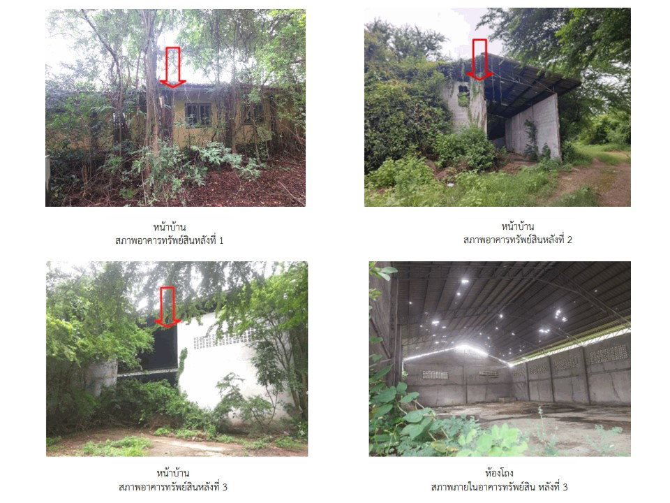 รูป ที่ดินพร้อมสิ่งปลูกสร้าง 1600 ตร.วา บ้านโป่ง ราชบุรี 2.9M - รูปที่ 7/8