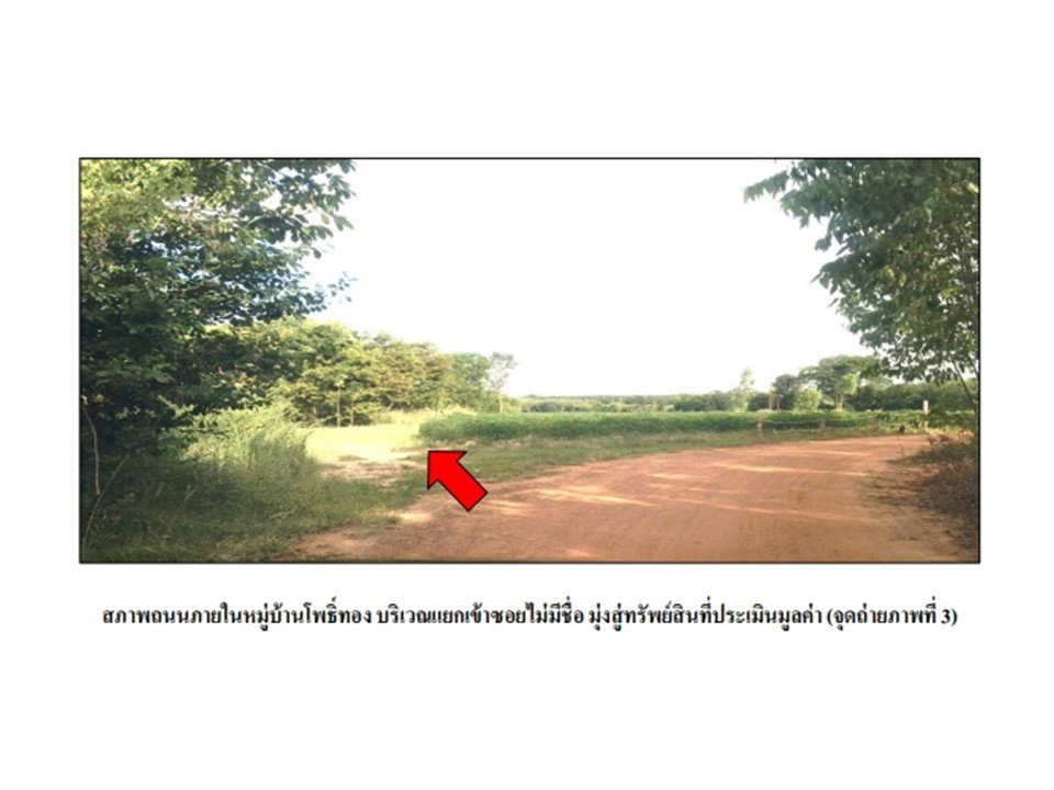 picture LAND 1980.1 Sq.w. Phanom Dong Rak Surin for 763,000 - 4/9