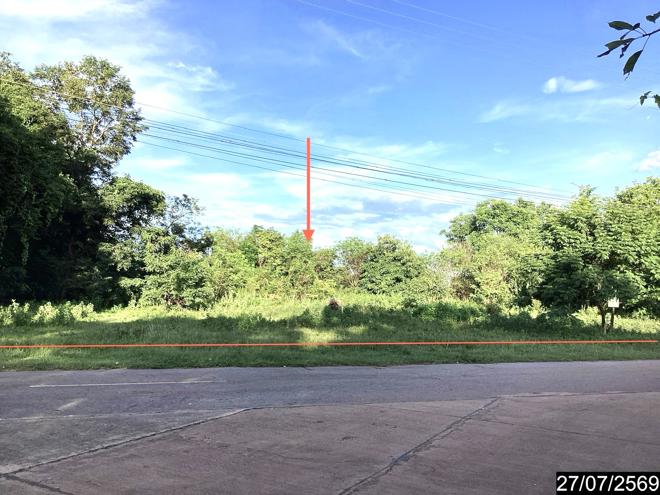 รูป บ้านเดี่ยว 1023 ตร.วา ท่าบ่อ หนองคาย 3.3M - รูปที่ 9/29