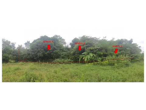 LAND 208 Sq.w. Na Kae Nakhon Phanom for 1.8M