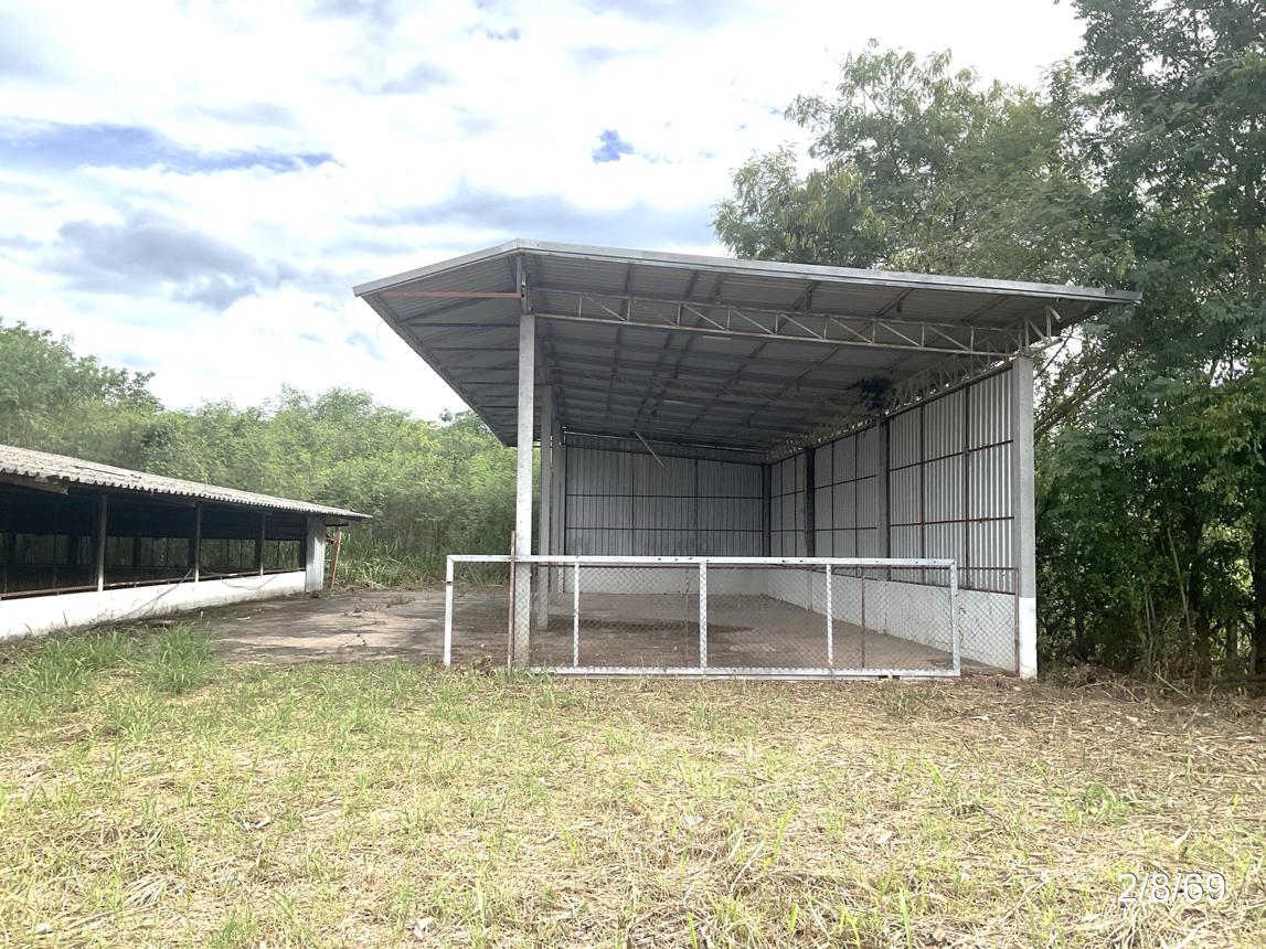 picture FACTORY 1848 Sq.w. Phu Khieo Chaiyaphum for 5.8M - 30/37