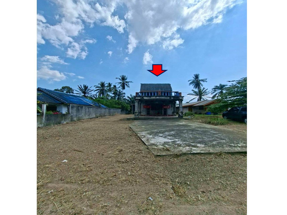 picture LAND 218 Sq.w. Khlong Thom Krabi for 837,000 - 1/7