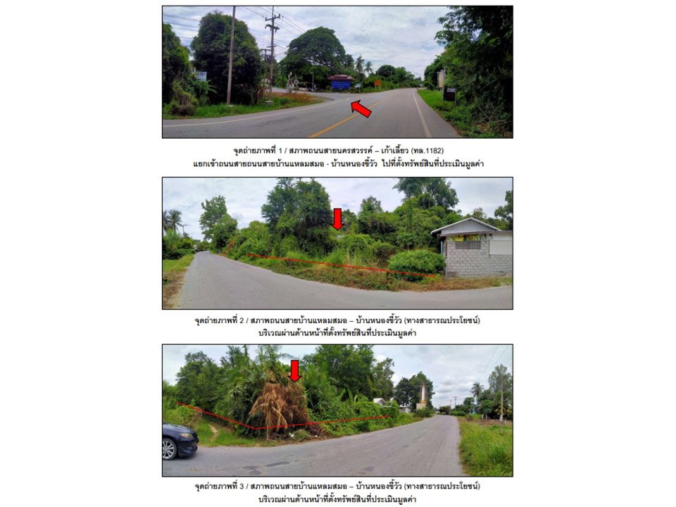 picture LAND 1600 Sq.w. Kao Lieo Nakhon Sawan for 1.6M - 2/3