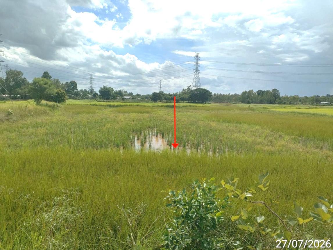 รูป ที่ดินว่างเปล่า 1581 ตร.วา เมืองร้อยเอ็ด ร้อยเอ็ด 1.2M - รูปที่ 10/15