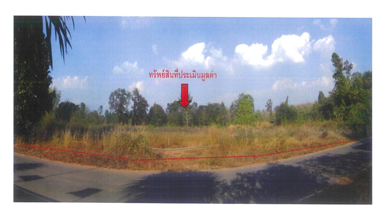 picture LAND 1113.2 Sq.w. Nam Pat Uttaradit for 2.8M - 1/4