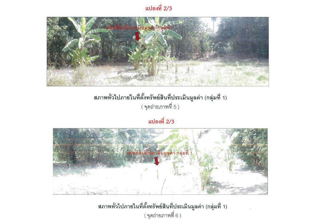 รูป ที่ดิน 477 ตร.วา บางระกำ พิษณุโลก 540,000 - รูปที่ 4/4