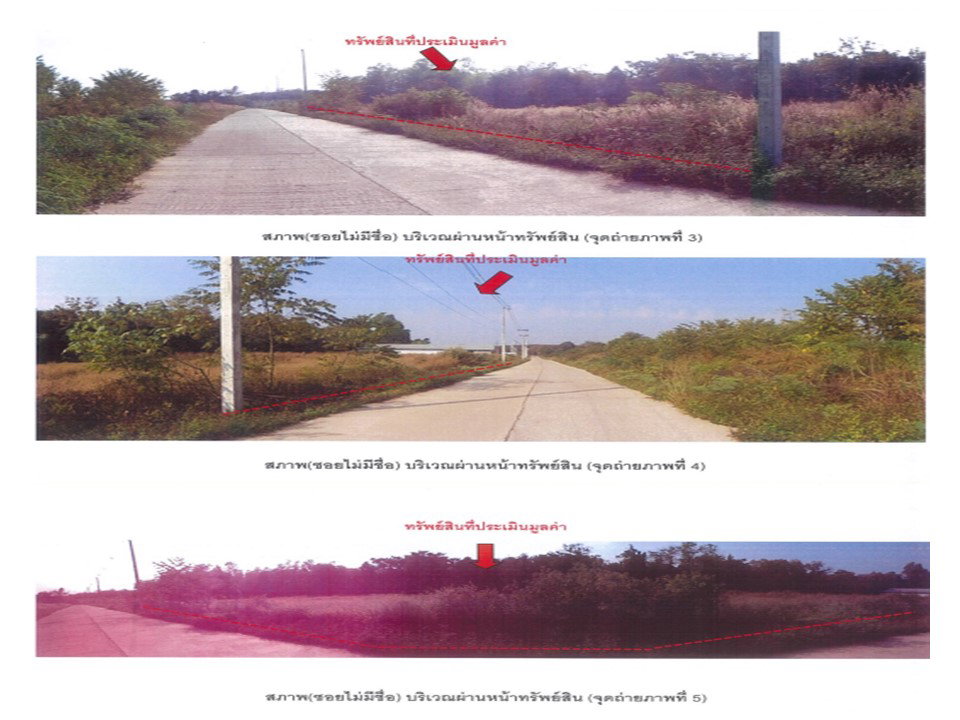 รูป ที่ดิน 485 ตร.วา ภูซาง พะเยา 938,000 - รูปที่ 3/3