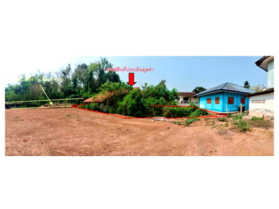 บ้านเดี่ยว โพทะเล พิจิตร : ที่ดินพร้อมสิ่งปลูกสร้าง 100 ตร.วา โพทะเล พิจิตร 281,000