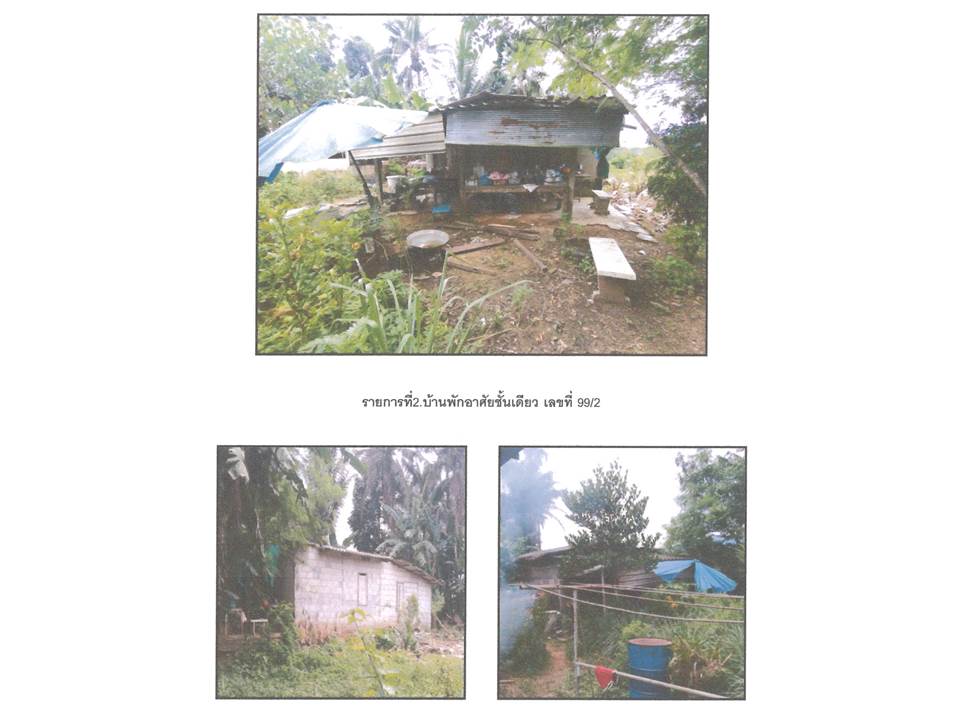 picture LAND 291 Sq.w. Muang Krabi Krabi for 1.3M - 6/6