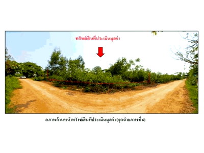 ที่ดิน หนองบัวลำภู : ที่ดิน 800 ตร.วา โนนสัง หนองบัวลำภู 638,000