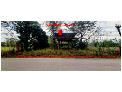 ที่ดิน หนองบัวลำภู : ที่ดินพร้อมสิ่งปลูกสร้าง 200 ตร.วา โคกล่าม ศรีบุญเรือง หนองบัวลำภู 908,000
