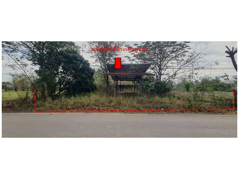 รูป ที่ดินพร้อมสิ่งปลูกสร้าง 200 ตร.วา โคกล่าม ศรีบุญเรือง หนองบัวลำภู 908,000 - รูปที่ 1/4