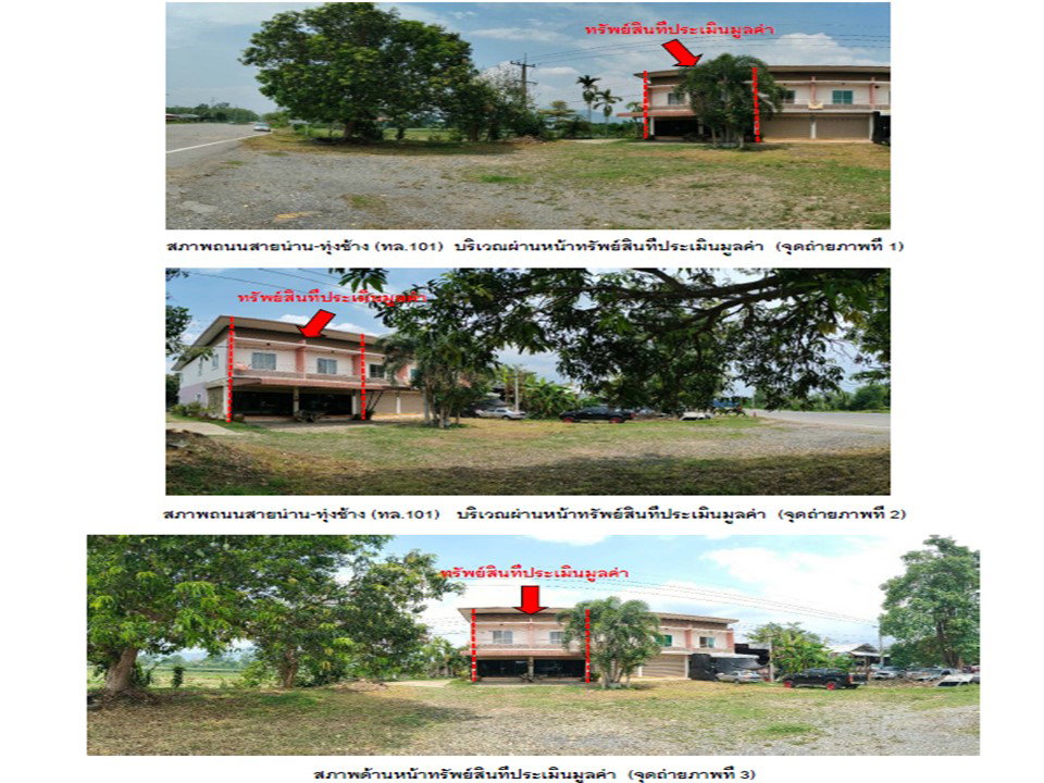 picture LAND 48.2 Sq.w. Pua Nan for 3.4M - 2/3