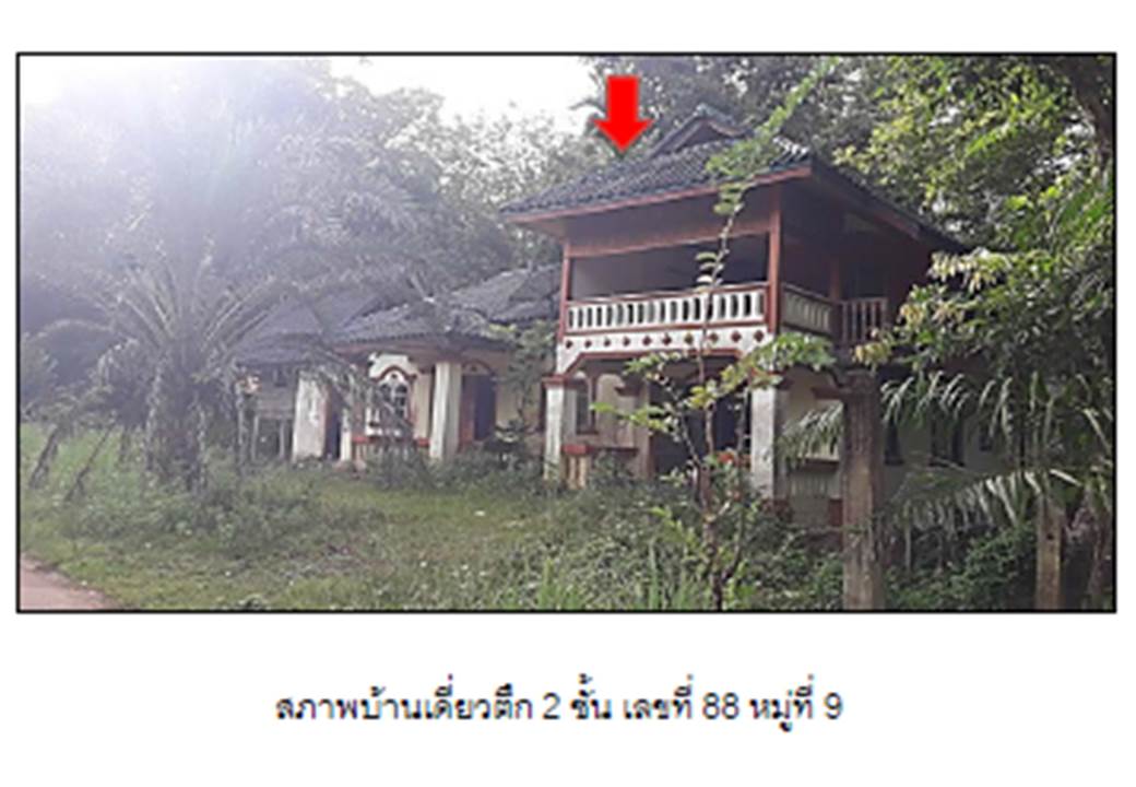 รูป ที่ดินพร้อมสิ่งปลูกสร้าง 336 ตร.วา กงหรา พัทลุง 713,000 - รูปที่ 5/5