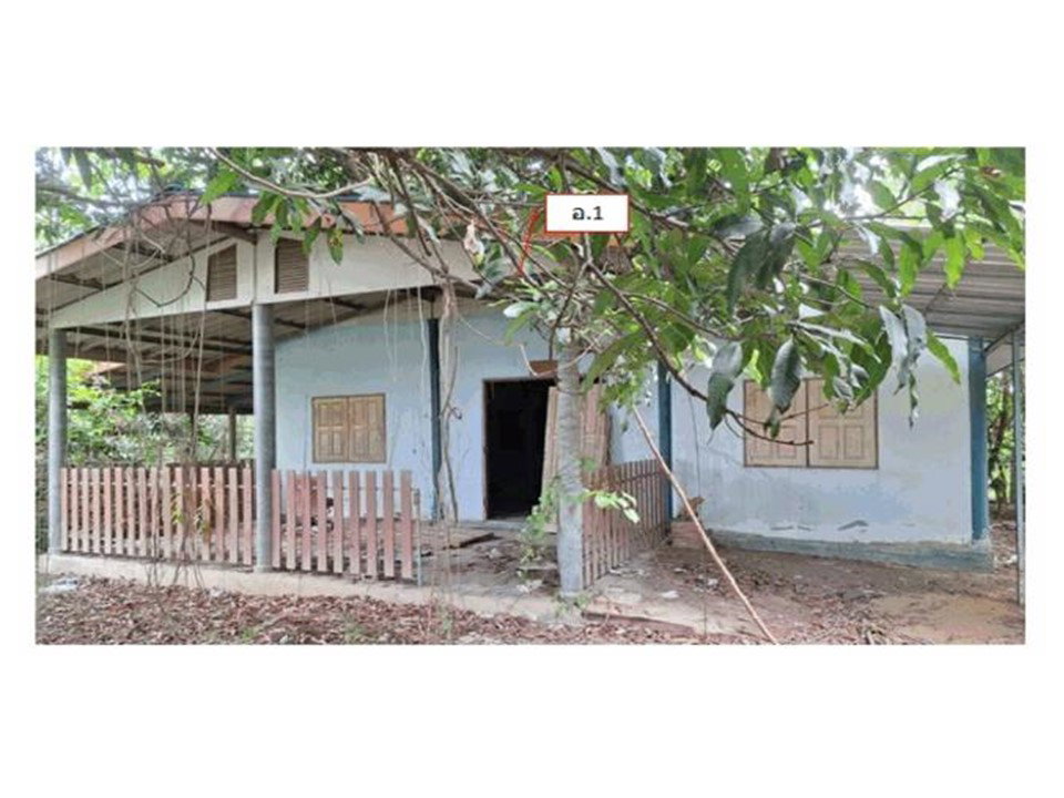 รูป ที่ดินพร้อมสิ่งปลูกสร้าง 188 ตร.วา แสวงหา อ่างทอง 631,000 - รูปที่ 1/3