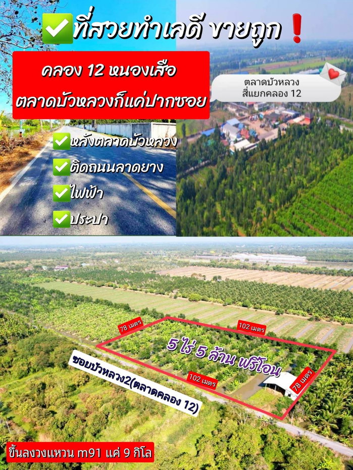 picture  Sale: 5-Rai Jackfruit Orchard in Nong Suea, Pathum Thani (Flood-free area) - 5/5