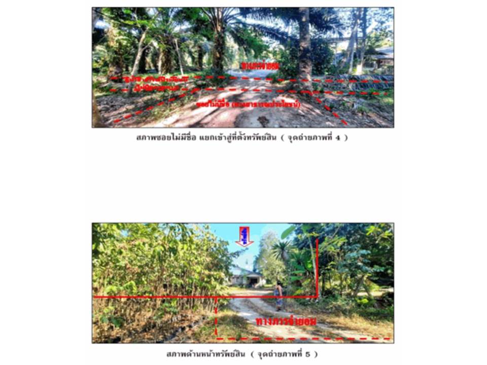 picture HOME 341 Sq.w. Ban Na San Surat Thani for 655,000 - 3/6