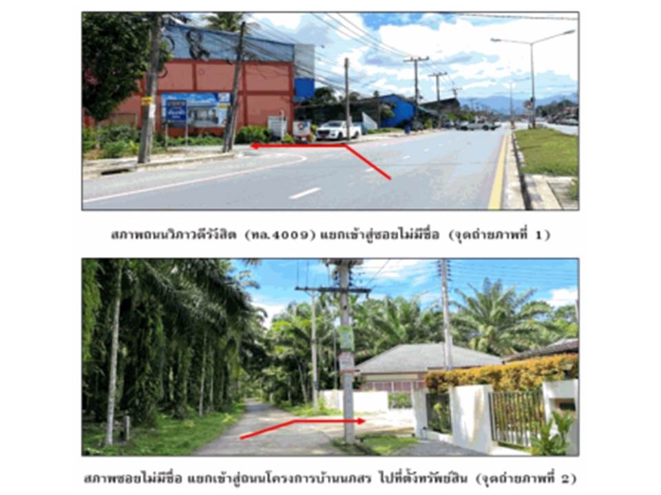 picture LAND 36.9 Sq.w. Wiang Sa Surat Thani for 1.6M - 2/6