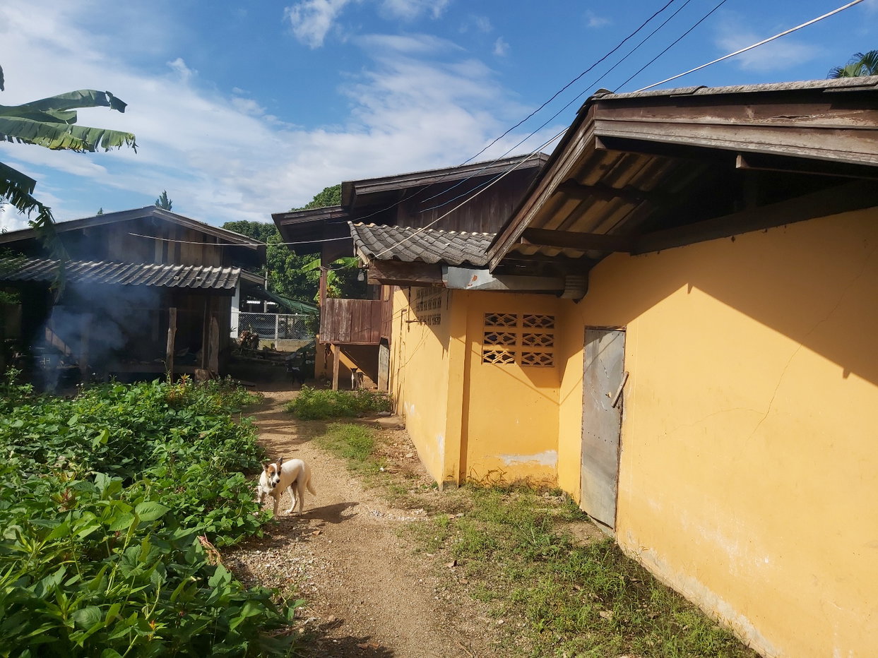 picture LAND 165.7 Sq.w. Mae Tha Lamphun for 452,000 - 2/4