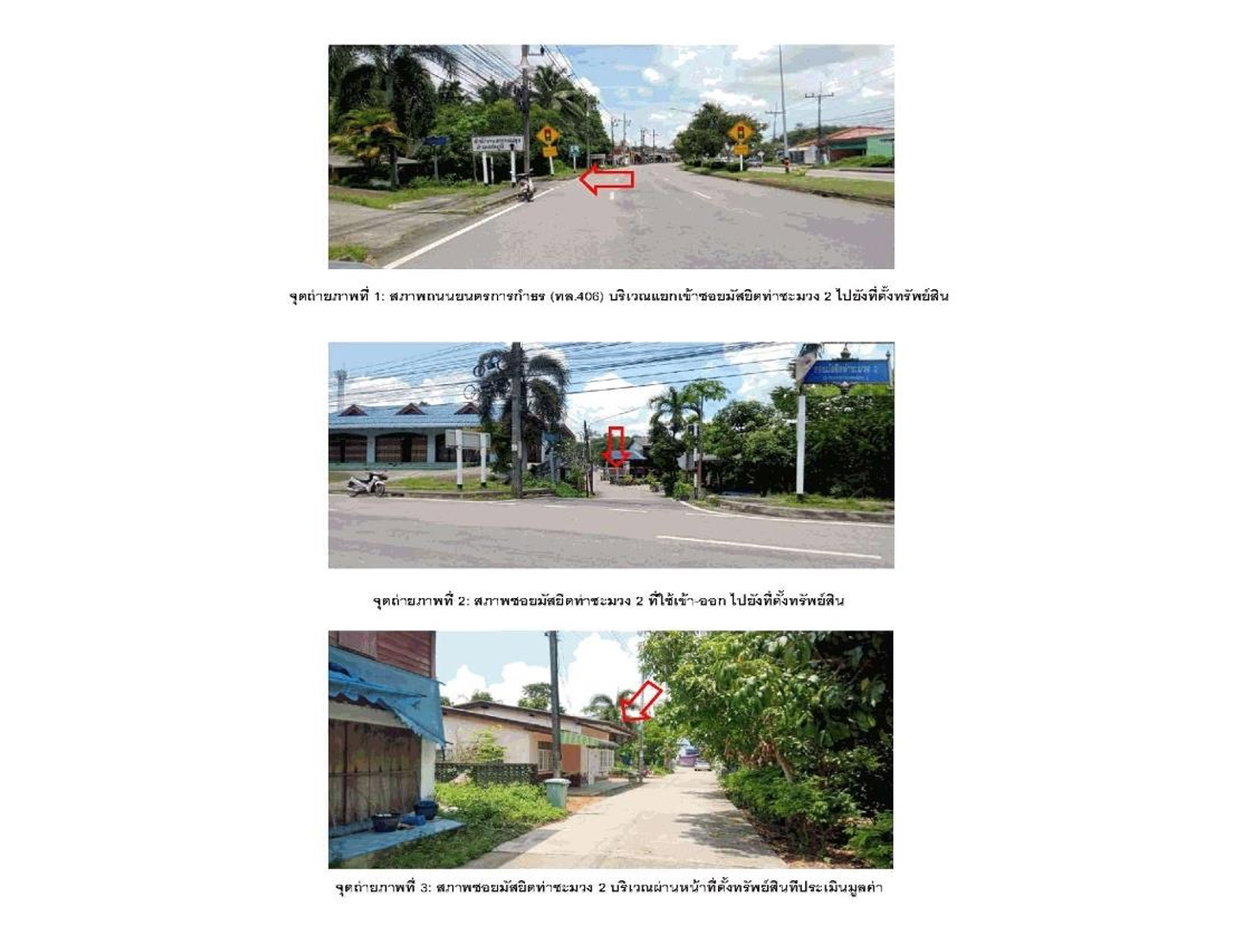 picture LAND 128 Sq.w. Rattaphum Songkhla for 1.5M - 2/4