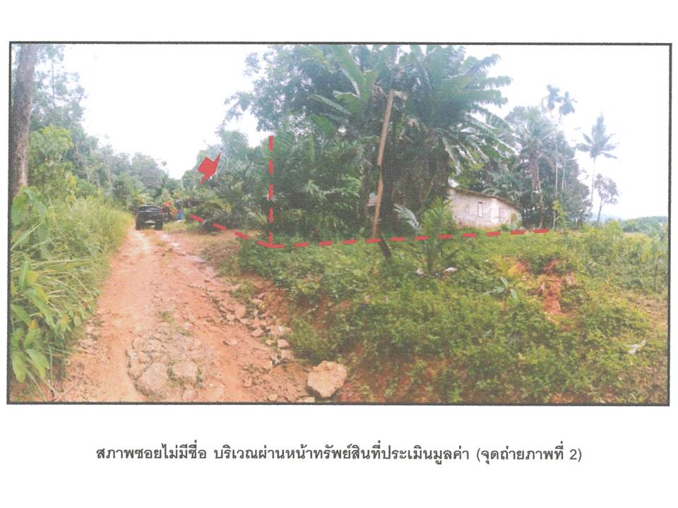 picture LAND 291 Sq.w. Muang Krabi Krabi for 1.3M - 3/6