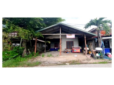 ที่ดิน ภูกระดึง เลย : ที่ดินพร้อมสิ่งปลูกสร้าง 59 ตร.วา ภูกระดึง เลย 450,000